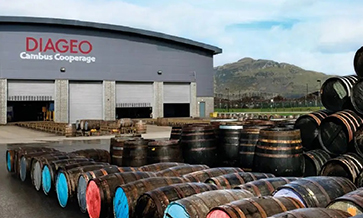 Diageo ‘distils’ voices for 2024 trends