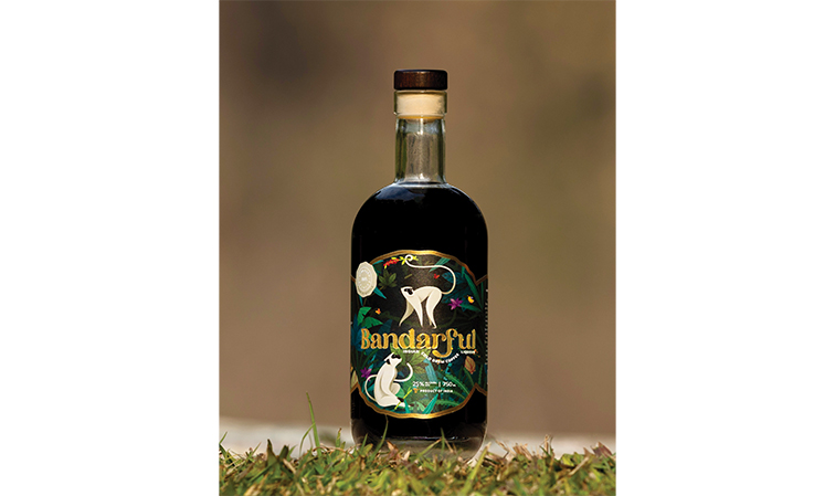 Playful tribute to Himalayan Langur