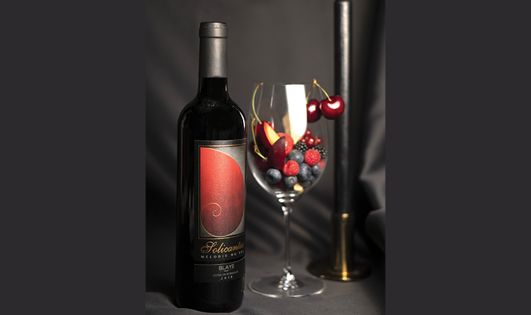 Solicantus drops anchor in India