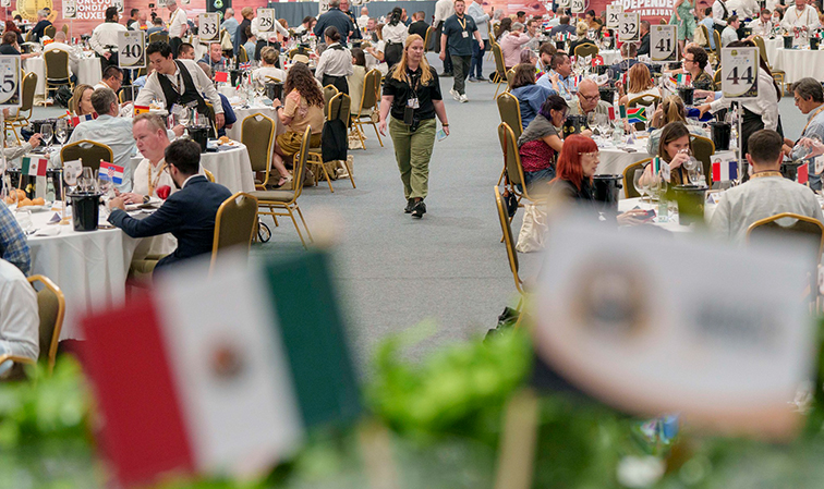 ‘Flights’ of fancy and senses