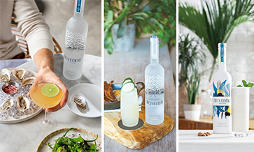 Interesting mixes with Belvedere
