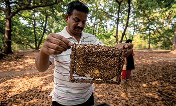 Meads: it’s all about Honey, honey!