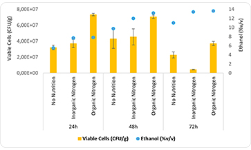 Yeast nutrition: focus on Nitrogen