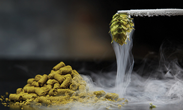 Cryo hops: super-cool tech for cool beers