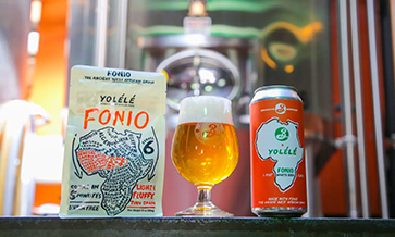 New beer from ancient fonio grains